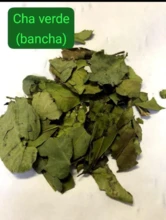 CHÁ VERDE - BANCHÁ