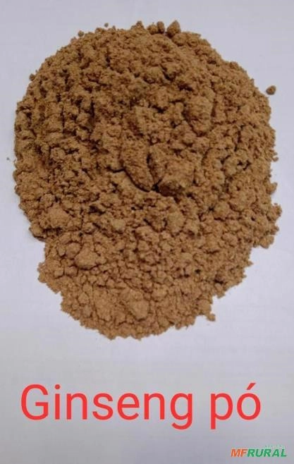 GINSENG EM PÓ Imagem GINSENG EM PÓ