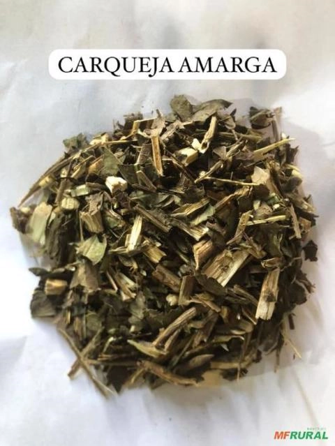 CARQUEJA AMARGA Imagem CARQUEJA AMARGA
