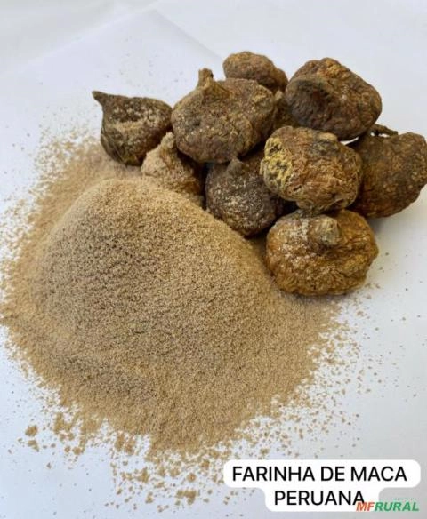 MACA PERUANA PÓ Imagem MACA PERUANA PÓ