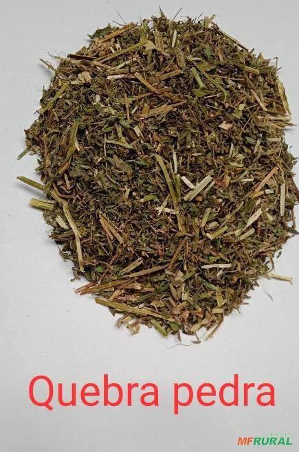 QUEBRA PEDRA Imagem QUEBRA PEDRA