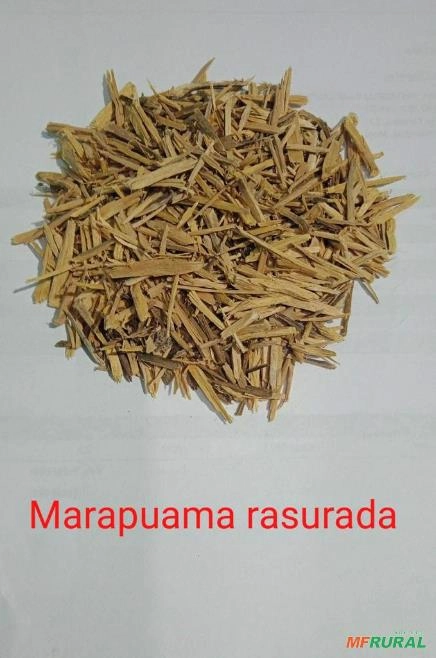 MARAPUAMA Imagem MARAPUAMA