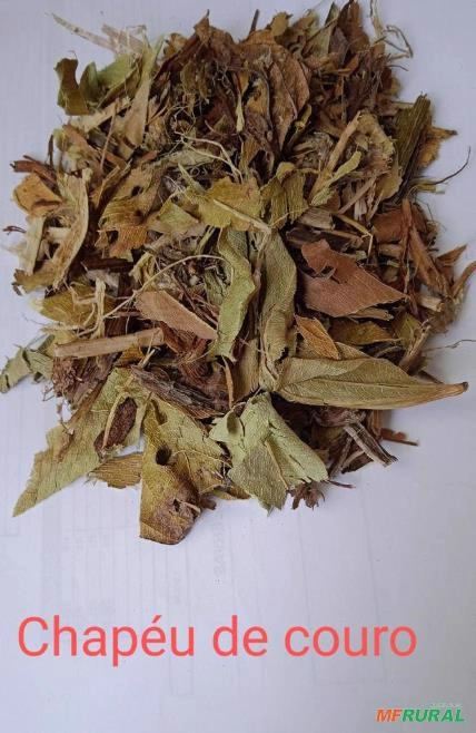 CHAPÉU DE COURO Imagem CHAPÉU DE COURO