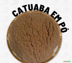 CATUABA EM PÓ