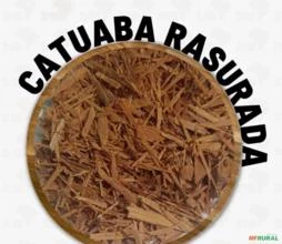 CATUABA RASURADA