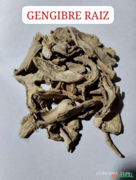 GENGIBRE RAIZ IMPORTADO Imagem GENGIBRE RAIZ IMPORTADO