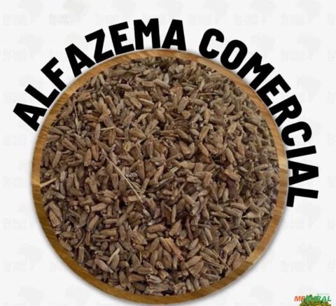 ALFAZEMA COMERCIAL