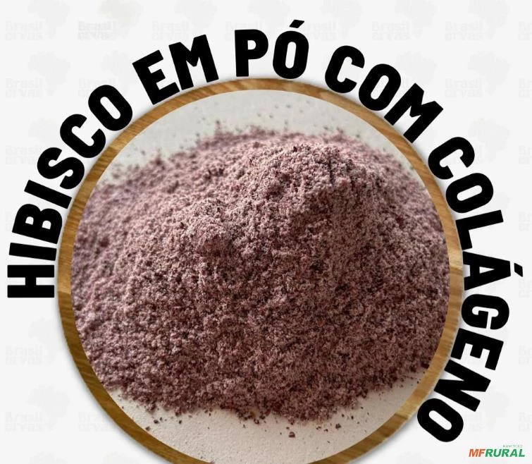 HIBISCO EM PÓ COM COLAGENO