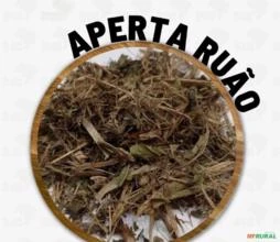 APERTA RUÃO