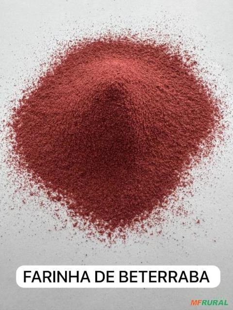 BETERRABA PÓ Imagem BETERRABA PÓ