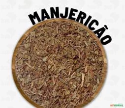 MANJERICÃO