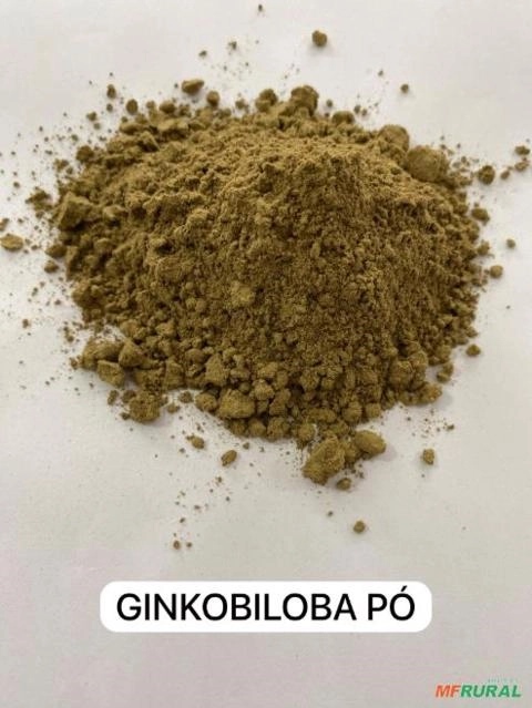 GINKOBILOBA EM PÓ Imagem GINKOBILOBA EM PÓ