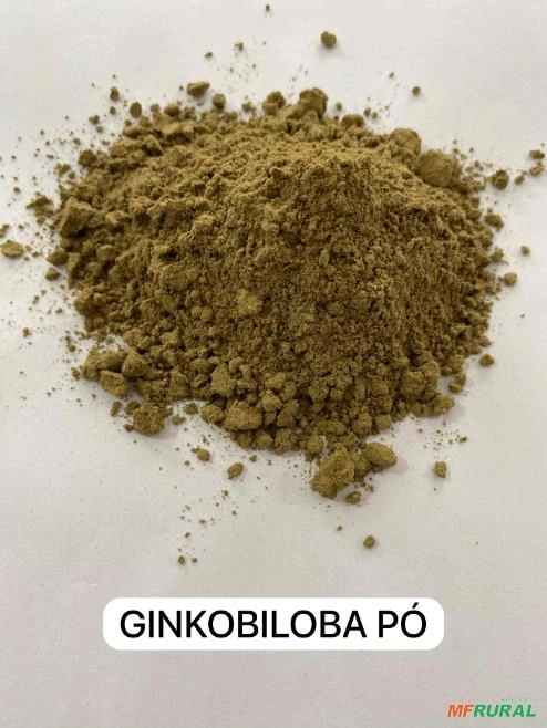 GINKOBILOBA EM PÓ Imagem GINKOBILOBA EM PÓ