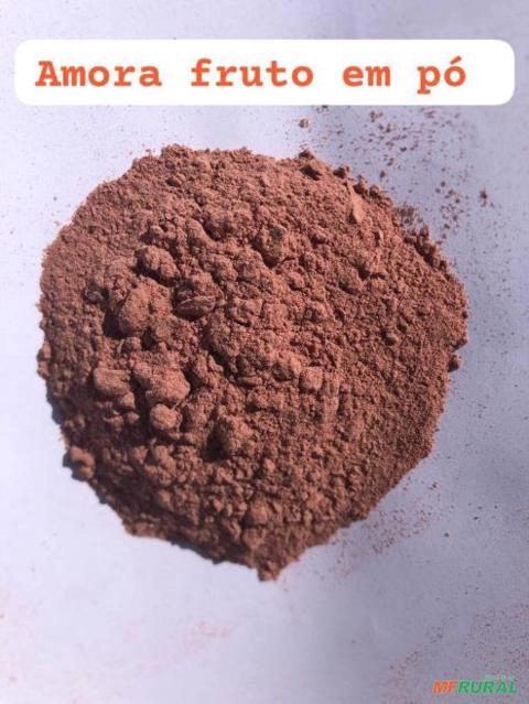 AMORA FRUTO EM PÓ Imagem AMORA FRUTO EM PÓ