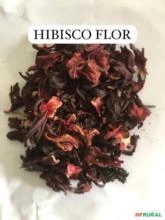 HIBISCO FLOR