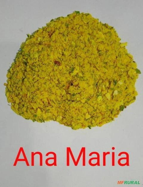 TEMPERO ANA MARIA Imagem TEMPERO ANA MARIA