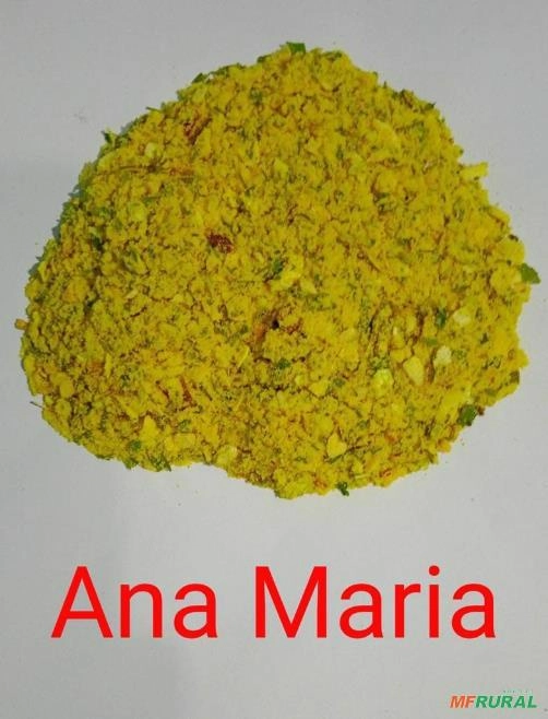 TEMPERO ANA MARIA Imagem TEMPERO ANA MARIA