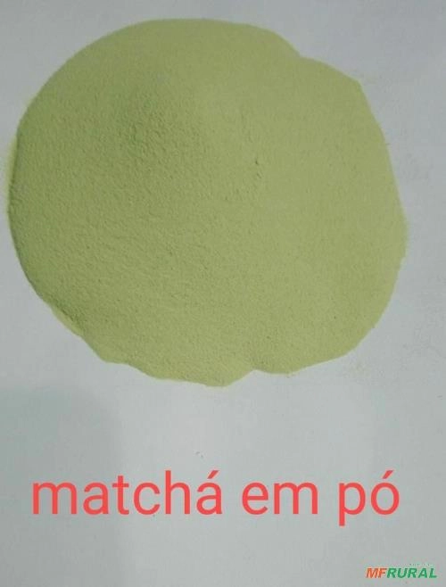 Matcha Pó em São Paulo SP à venda. Compre direto do vendedor 755884