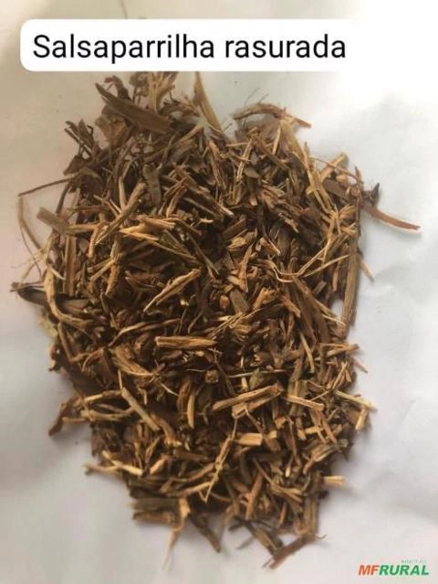 SALSAPARRILHA RASURADA Imagem SALSAPARRILHA RASURADA