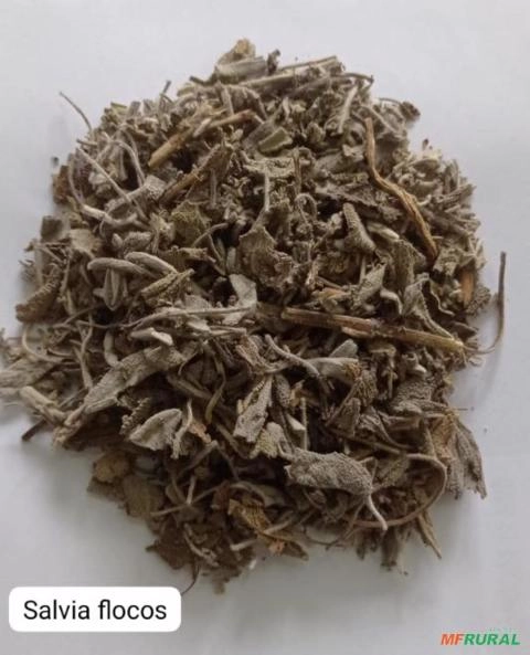 SALVIA EM FLOCOS Imagem SALVIA EM FLOCOS