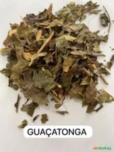 GUAÇATONGA/PORANGABA
