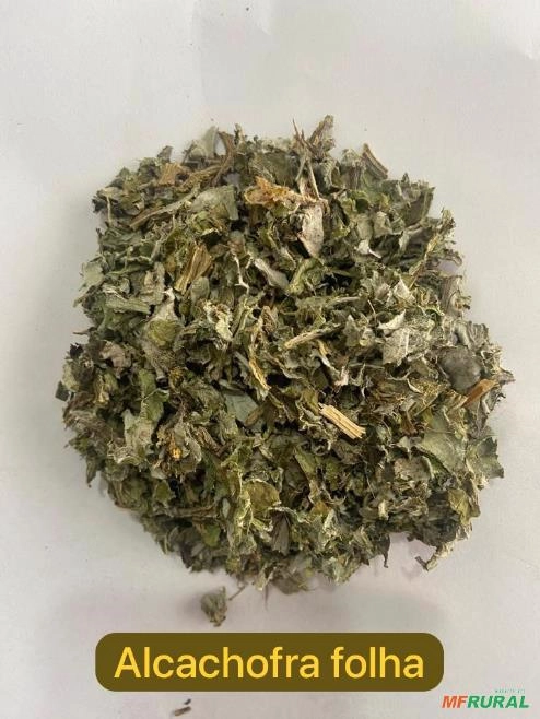 ALCACHOFRA FOLHA Imagem ALCACHOFRA FOLHA