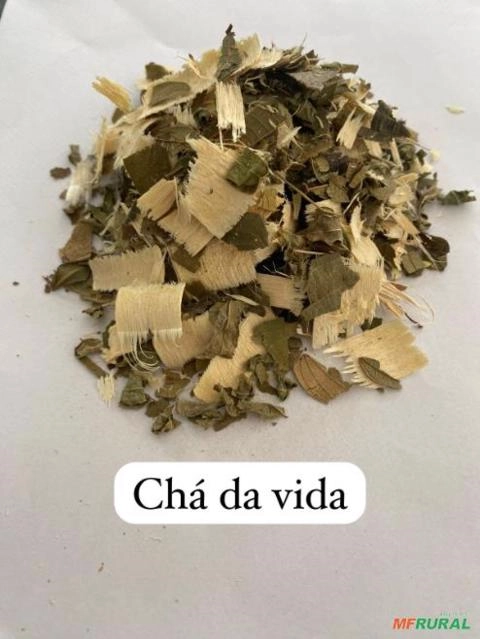 CHÁ DA VIDA Imagem CHÁ DA VIDA