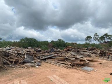 Imagem Vendo Tabuas Naval, Eucalipeto e Tocos de Árvores Nativa Imagem Vendo Tabuas Naval, Eucalipeto e Tocos de Árvores Nativa