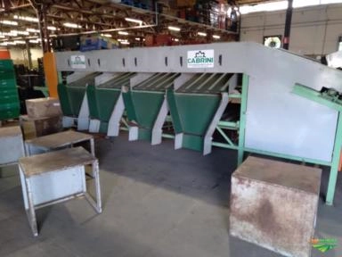 Máquina de Lavar e Classificar Tomate Imagem Máquina de Lavar e Classificar Tomate