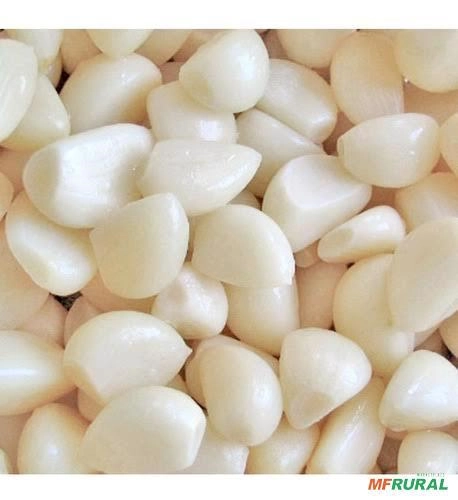 Alho descascado Imagem Alho descascado