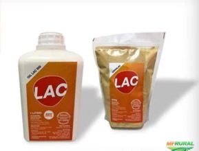 Antibiótico Natural a base de Óleo Essencial - Oil Lac 100