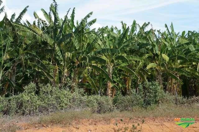 Fazenda com 14.550 Hectares no estado da Bahia.