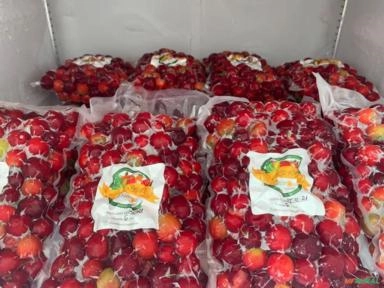 Imagem Acerola Congelada Imagem Acerola Congelada