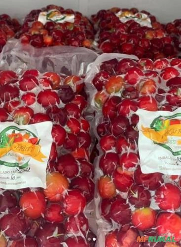 Imagem Acerola Congelada Imagem Acerola Congelada