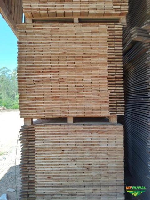 Compro Eucalipto serrado Imagem Compro Eucalipto serrado