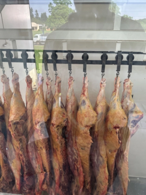 Imagem Touros Tabapuã Imagem Touros Tabapuã