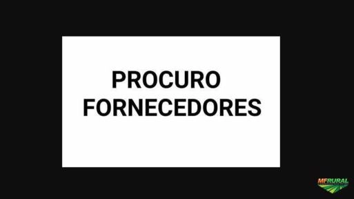 PROCURO FORNECEDOR DE MILHO SECO E QUIRELA 25KG EM SÃO PAULO Imagem PROCURO FORNECEDOR DE MILHO SECO E QUIRELA 25KG EM SÃO PAULO