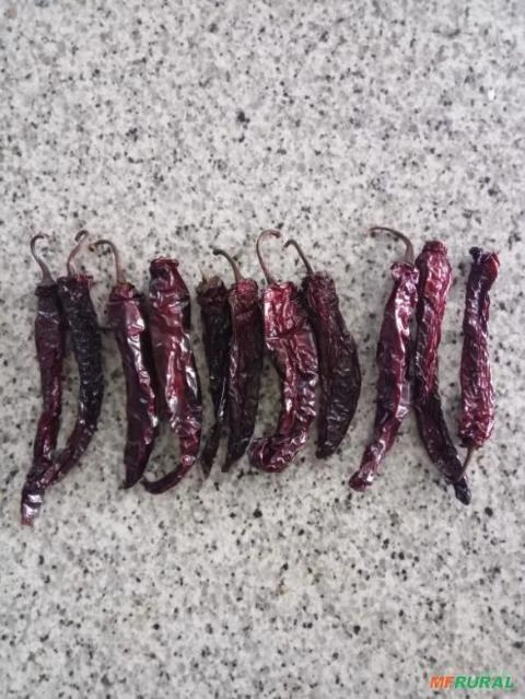 Pimenta Calabresa Defumada Imagem Pimenta Calabresa Defumada