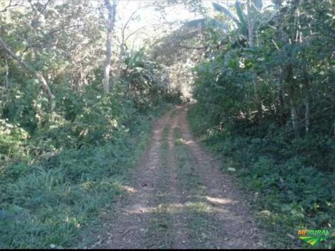 Fazenda próximo de Cuiabá