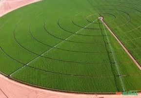 Fazenda de lavoura para arrendamento