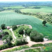 Fazenda dupla aptidão no Pará