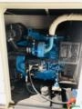 Gerador de Energia 35 kVA Stemac Ano 2022 64 hrs + Qta 3530kVA Imagem Gerador de Energia 35 kVA Stemac Ano 2022 64 hrs + Qta 3530kVA