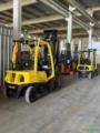 Empilhadeira HYSTER 50 Fortis Imagem Empilhadeira HYSTER 50 Fortis