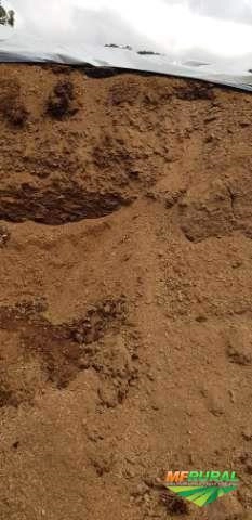 Cama de aviário 100% pura Imagem Cama de aviário 100% pura