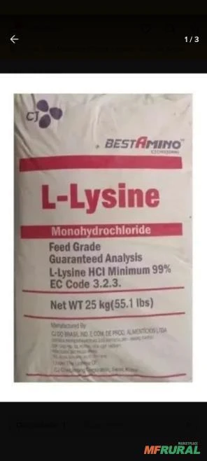 Lisina aminoácido