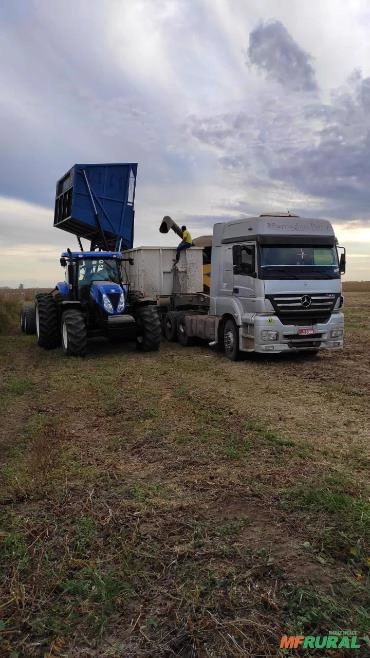 Transbordo de Grãos Imagem Transbordo de Grãos