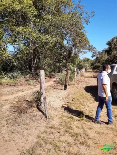 Fazenda a venda de 7520 hectares em Bandeirantes - Goiânia FA0070