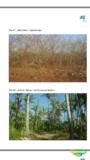 Fazenda a venda de 11.000 hectares em Buriti Bravo - Maranhão / FA0083