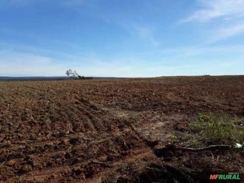 Fazenda em Planalto da Serra - MT Área Rural Referência FA0158