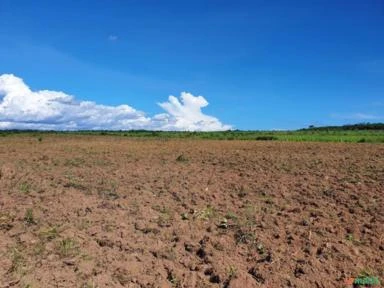 Fazenda Arrendamento em Canarana - MT área rural Referencia FA0179